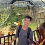 Tommy Zai - @tommyteoh - Instagram