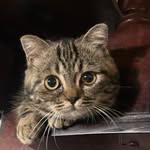 @tommyteo_mini - Instagram