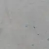 Tommy Thacker - @tommythacker8 - TikTok
