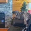 tommythomason64 - @tommythomason64 - TikTok