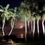 Tommy Todd Landscape & Design - @tommy_todd_landscape_design - Instagram