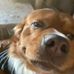 Tommy Tompkins - Facebook
