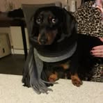Tommy Townsend - Facebook