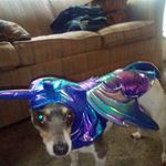 Tommy Townsend - @tammylynn.townsend - Instagram
