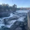 Tommy Vang - @ganv._.tommy - TikTok