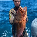 Tom Walden - @tommywalden03 - Instagram