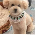 Tommy Walter - @tommywalter008 - Instagram