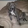 Tommy Westbrook - @tommy.westbrook7 - TikTok