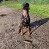 Tommy Whitlock - @tommy.whitlock5 - TikTok