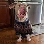 Tommy Willis - @tommy.willis - Instagram