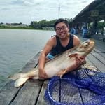 Tommy Yang - @tommyonthereel - Instagram
