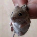 tommyyow - @tomyyow - Instagram