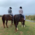 Tomoe Takeuchi - @mr.takechan - Instagram