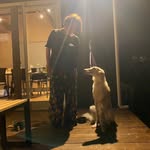 Tomoko Hamada - @kattun_un.7104 - Instagram