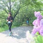 Tomoko  Murakami - @tomoko.murakami.1466 - Instagram