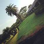 Tomoko  Murakami - @murakami530 - Instagram