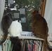 Tomoko  Ozawa - Facebook