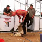 Tomos Jones - @tomos952 - Instagram