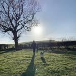 Tomos - @tomosjones_20 - Instagram