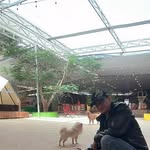 Tôn Vũ - @tonvukt - Instagram