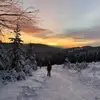 Tonda Hadač - @tondawalker - TikTok