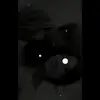 tong vu - @tong.vu53 - TikTok