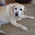 Toni Archer - @archer.toni - Instagram