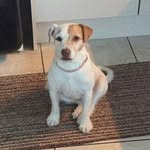 Toni Bale - @curlieu - Instagram