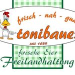 Tonibauer - @_tonibauer - Instagram