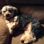 Toni Baughman - @toni_baughman1 - Instagram