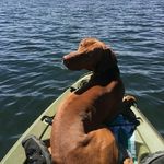 Toni Becker - @tonibecker68 - Instagram