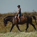 Antonia - @_toni.beyer_ - Instagram