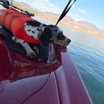 Toni Bingham - @ctpbingham - Instagram