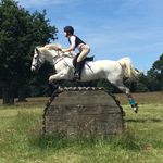 Toni Bishop - @toni.bishop_equestrian - Instagram