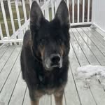 Toni Boltz - @boltztoni - Instagram