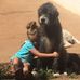 Toni Boucher - Facebook