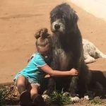 Toni Boucher - @tonie.boucher - Instagram