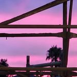 Toni Boucher - @rowdygal32 - Instagram