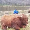 Toni Bowen Ireland - @toni.bowen.irelan - TikTok