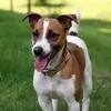 tonibowers739 - @tonibowers739 - TikTok