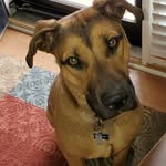 Toni Bright - @toni.bright.7505 - Instagram
