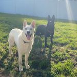 @tonibrunetto - Instagram