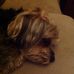 Toni Carver - Facebook