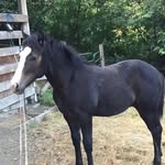 Toni Eberlein - @tonieberlein - Instagram