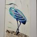 Toni Evans - Facebook