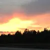 Toni Evans - @toni.evans37 - TikTok