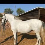 Taxi galeote - @toni_galeote - Instagram