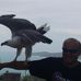 Toni Galea - Facebook