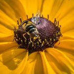 Toni Gerdes - @tgerdesphotos - Instagram