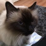 Toni Gooding - @toni.gooding.1 - Instagram